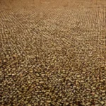 ¿Dónde se tiran las alfombras? Descubre el error que todos cometen