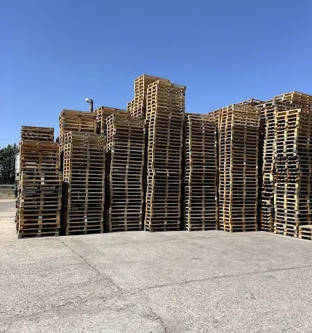 Punt Verd EMAYA - Son Castelló