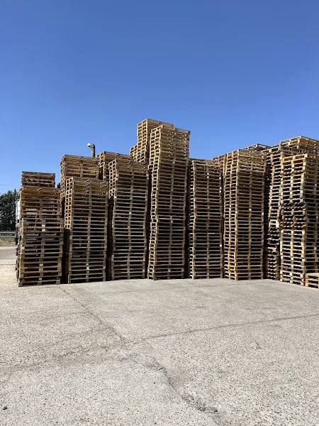 Filas de palets de madera apilados al aire libre bajo cielo despejado, lopez bartolome