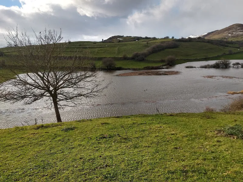 Laguna tranquila, pradera verde y árbol solitario junto al punto limpio de reinosa