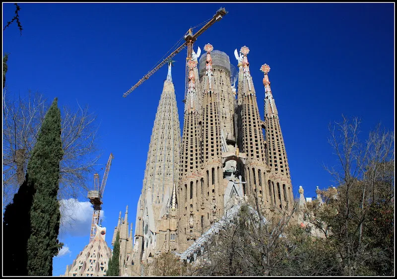 Fachada y torres de la Sagrada Familia con grúas, andamios y árboles bajo cielo azul, punto verde del barrio de sagrada familia