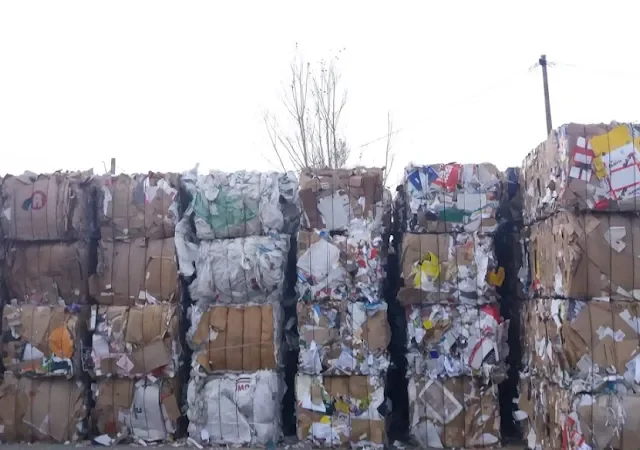 Área de aportación ciudadana